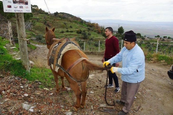 Randevu İle Nal Çakıyor G3