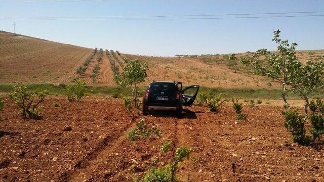 Şanlıurfa’da Feci Kaza: 2 Ölü, 7 Yaralı