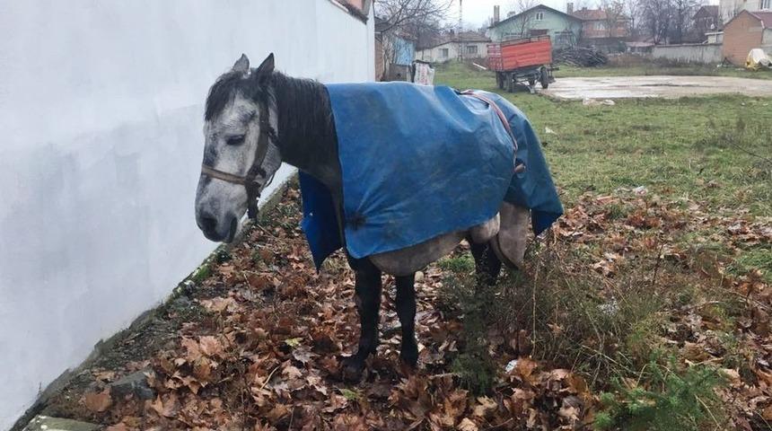 (&ouml;zel Haber) G&ouml;z&uuml; Gibi Baktığı Atını Sıkı Sıkı Sarmaladı