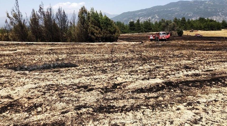 Seydikemer’deki Çıkan Yangın 2 Hektar Alan Zarar Gördü