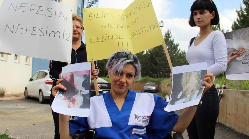 Sivas&rsquo;ta Veterinerlik Fak&uuml;ltesinde Ders İ&ccedil;in Sokak K&ouml;peğinin Katledilmesine Tepki