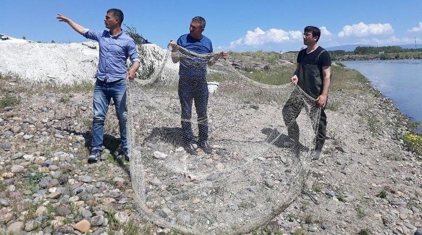 Van&rsquo;ın Erciş İl&ccedil;esinde İnci Kefali Operasyonu