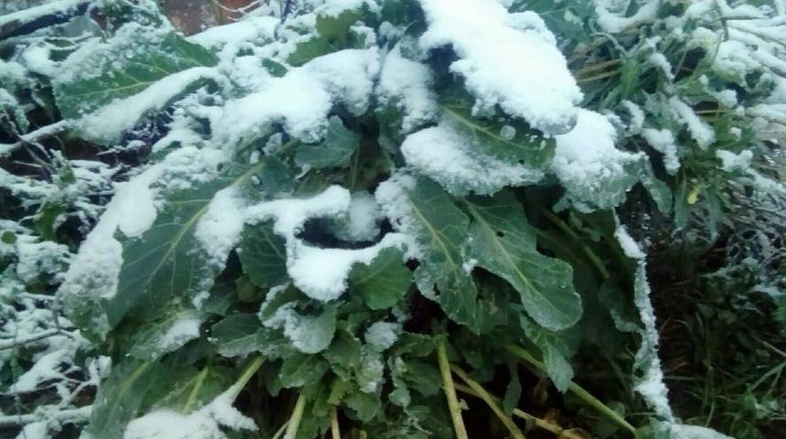 Sakarya&rsquo;nın Y&uuml;ksek Kesimlerinde Kar Yağışı Başladı