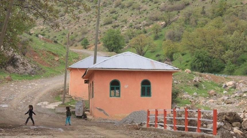 Nehri Kabristanlığındaki Bakımsızlığa Büyük Tepki