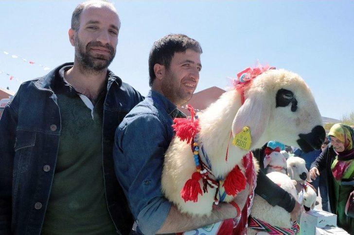 Malatya’da ‘en Güzel Kuzu’ Yarışması G2