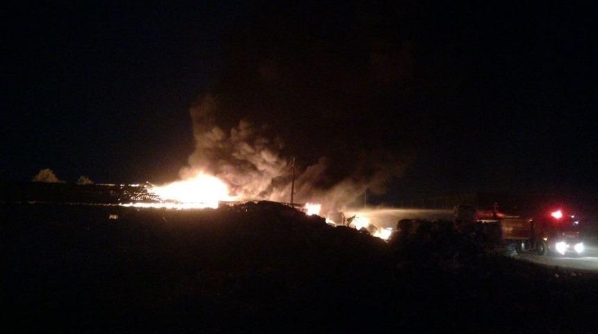 Yıldırım D&uuml;şt&uuml;, Yangın &Ccedil;ıktı... Hayvanlar Telef Olmaktan Son Anda Kurtuldu