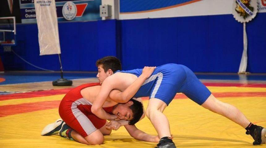 Şehitler İ&ccedil;in G&uuml;reş Turnuvası