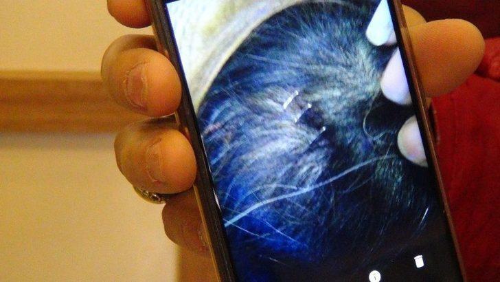 (özel Haber) Kirasını Ödeyemeyen Kadına Darp İddiası G5