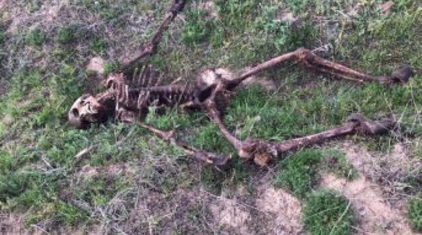 Uşak’ta Korkunç Olay