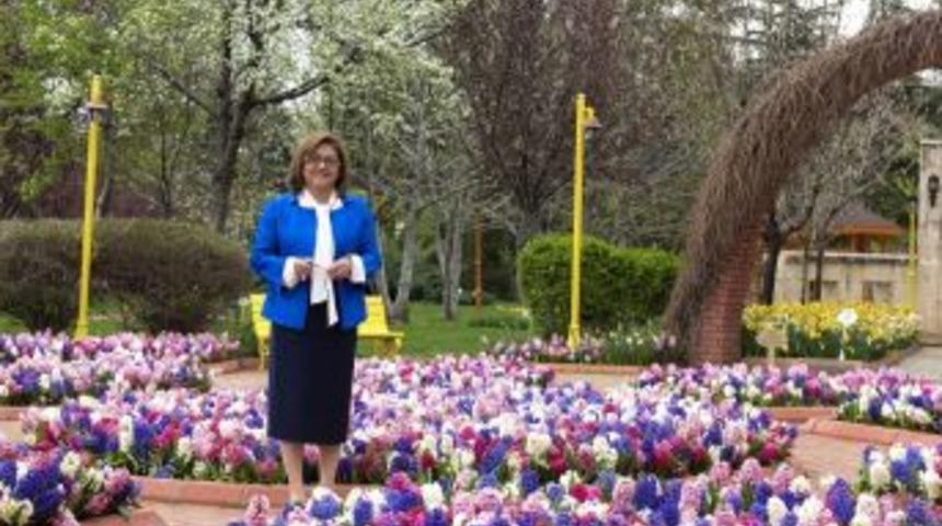 B&uuml;y&uuml;kşehir&rsquo;den Kelebek M&uuml;zesi