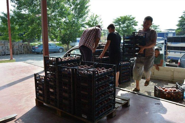 (özel) Bursa’da Şeftali Hasadı Ve Fiyatları Yüzleri Güldürdü G2