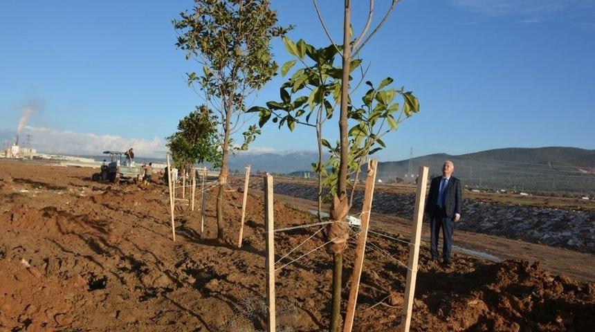 Sultanlar Vadisi Projesinde 2. Etap Başladı
