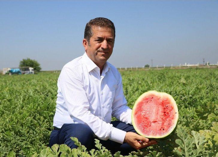 Karpuzun Rusya’ya İhracat Beklentisinde Hayal Kırıklığı G2