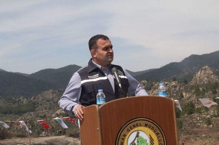 Yanan Orman Alanları Ağaçlandırılıyor G1