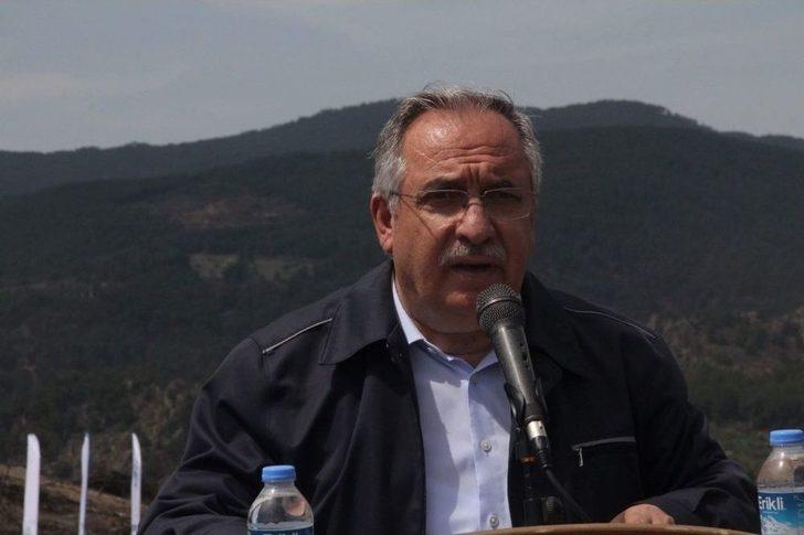 Yanan Orman Alanları Ağaçlandırılıyor G2