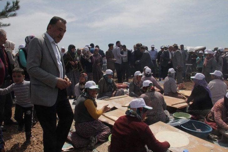 Yanan Orman Alanları Ağaçlandırılıyor G3