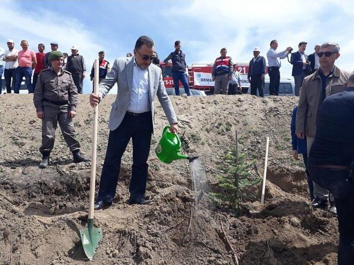 Yanan Orman Alanları Ağaçlandırılıyor G4