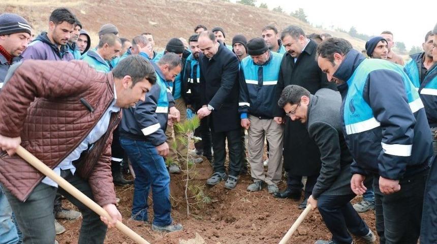 Başkan &Ccedil;ift&ccedil;i Şuski Personelleriyle Ağa&ccedil; Dikti