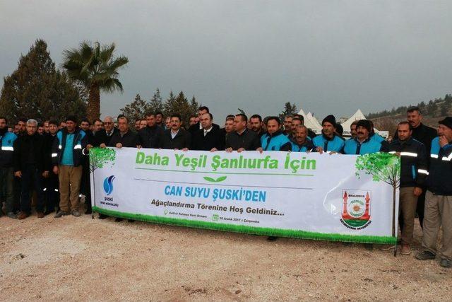 Başkan Çiftçi Şuski Personelleriyle Ağaç Dikti