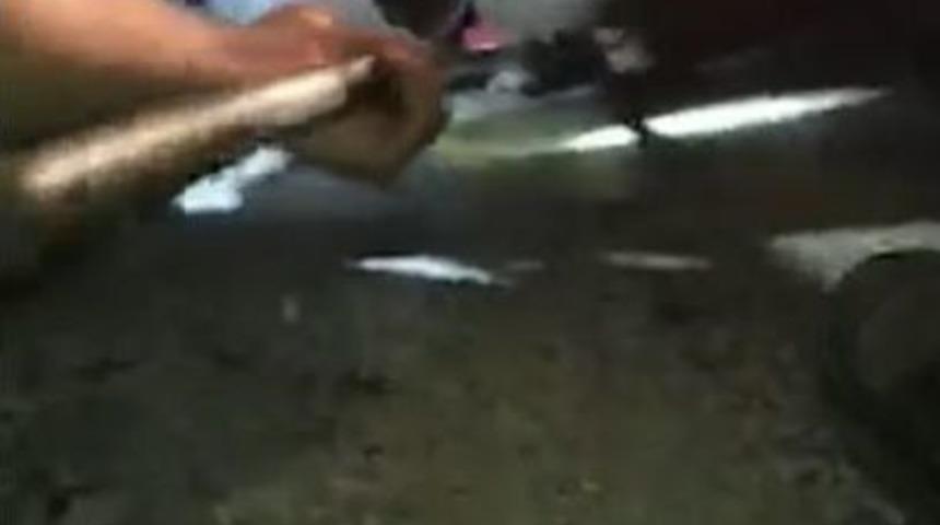 (&ouml;zel) Seyir Halindeki Otomobilin Alt Kısmına Sıkışan Kediyi İtfaiye Kurtardı