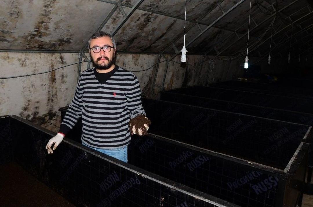 Ayda 3 Ton Organik Solucan G&uuml;bresi &Uuml;retiyor