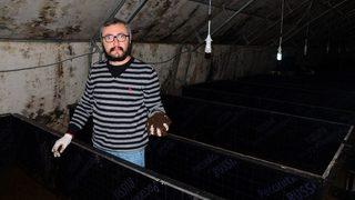 Ayda 3 Ton Organik Solucan Gübresi Üretiyor