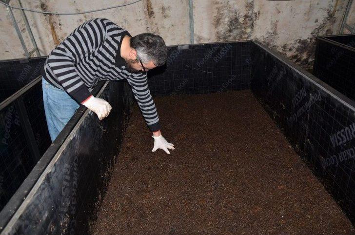 Ayda 3 Ton Organik Solucan Gübresi Üretiyor G1