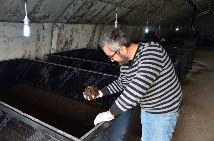 Ayda 3 Ton Organik Solucan Gübresi Üretiyor G2