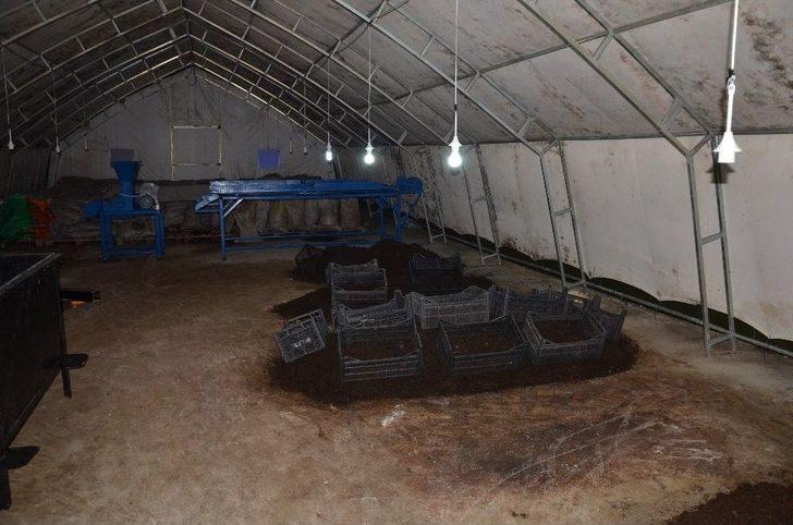 Ayda 3 Ton Organik Solucan Gübresi Üretiyor G4