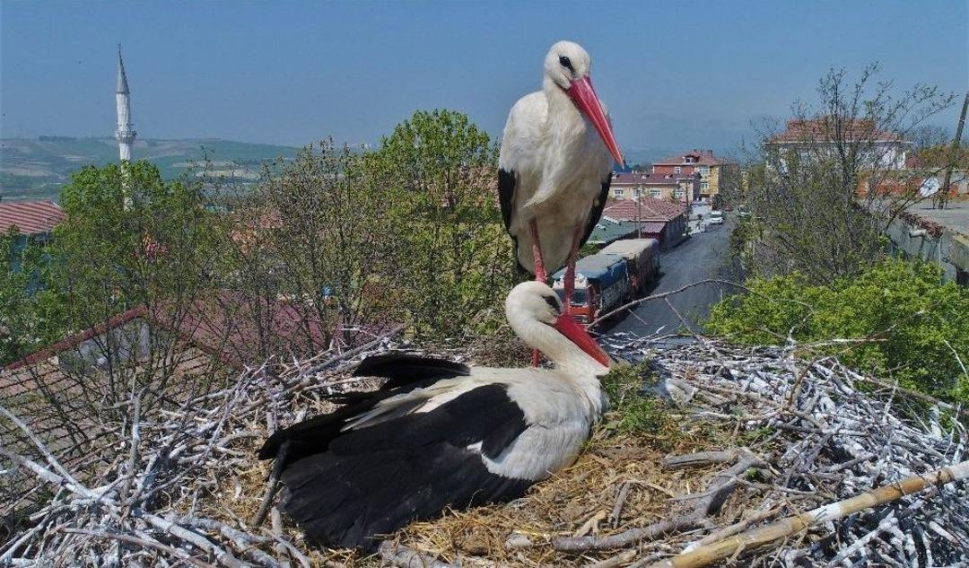 (&ouml;zel Haber) Leylekli K&ouml;y Havadan G&ouml;r&uuml;nt&uuml;lendi