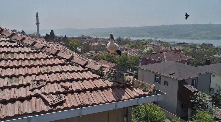 (özel Haber) Leylekli Köy Havadan Görüntülendi G1