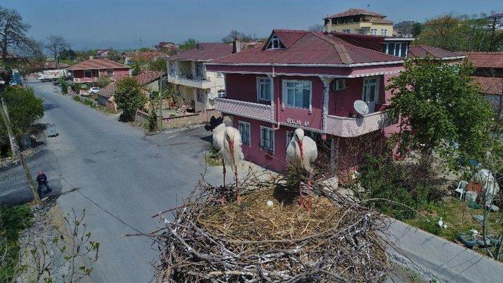 (özel Haber) Leylekli Köy Havadan Görüntülendi G3