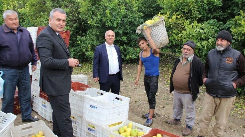 Sgk, Mevsimlik Tarım İş&ccedil;ileriyle Buluştu