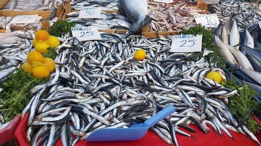 Hamsinin Fiyatı Kıymayla Yarışıyor