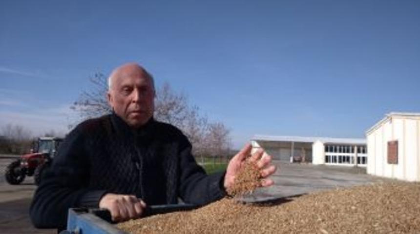 Buğday Ve &Ccedil;eltik Fark Destekleri Yatırılıyor