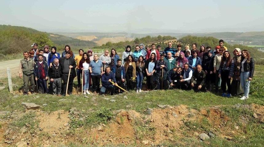 Engelliler &Uuml;niversite &Ouml;ğrencileriyle Birlikte 60 Fidan Dikti