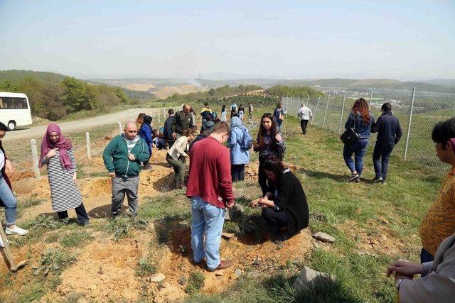 Engelliler Üniversite Öğrencileriyle Birlikte 60 Fidan Dikti