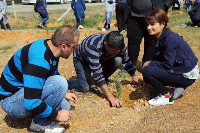 Engelliler Üniversite Öğrencileriyle Birlikte 60 Fidan Dikti