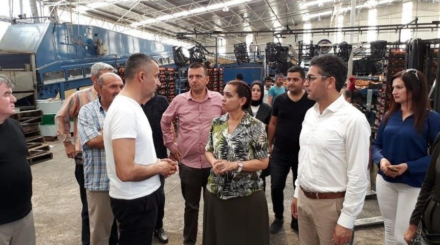 Ak Partili &Ouml;zboz: "finike Şahlanacak"