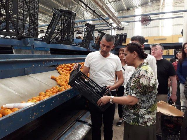 Ak Partili &Ouml;zboz: "finike Şahlanacak" 1