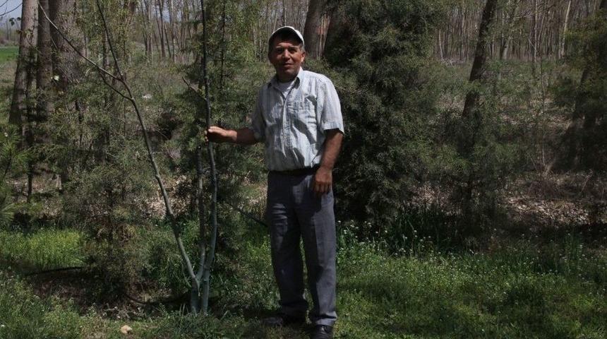 15 Yıldır Doğadaki &Ccedil;&ouml;pleri Toplayıp Satıyor, Parasıyla Fidan Alıp Dikiyor