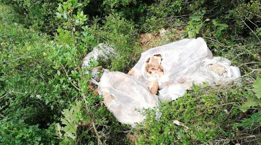 Hayvan Sevgisi Adına &Ccedil;evre Kirletiliyor