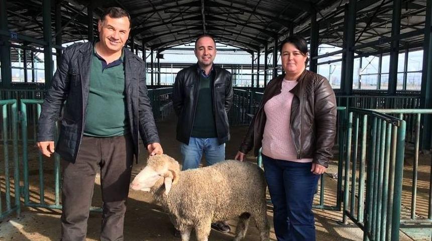 Salihli&rsquo;de Damızlık Ko&ccedil; Dağıtıldı