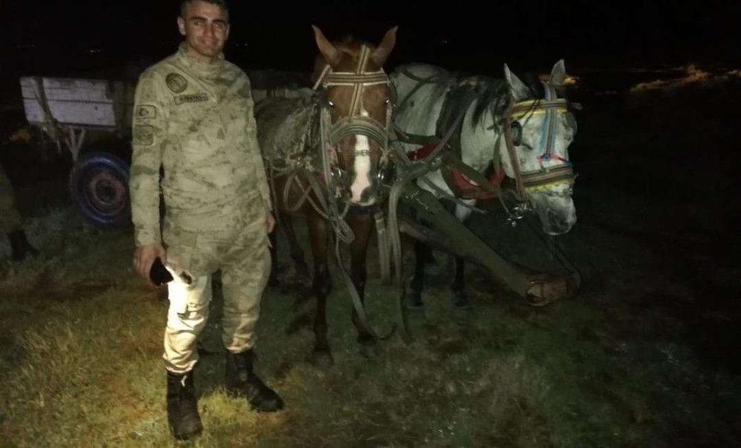 Van&rsquo;ın Erciş İl&ccedil;esinde 9 Ton Balık Ele Ge&ccedil;irildi