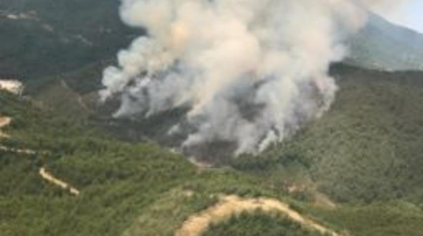 Hatay&rsquo;da Orman Yangını