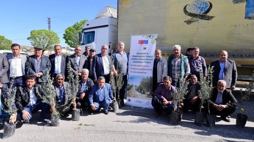 Artan Karbon Emisyonu Ağa&ccedil;landırmayla Azaltılacak