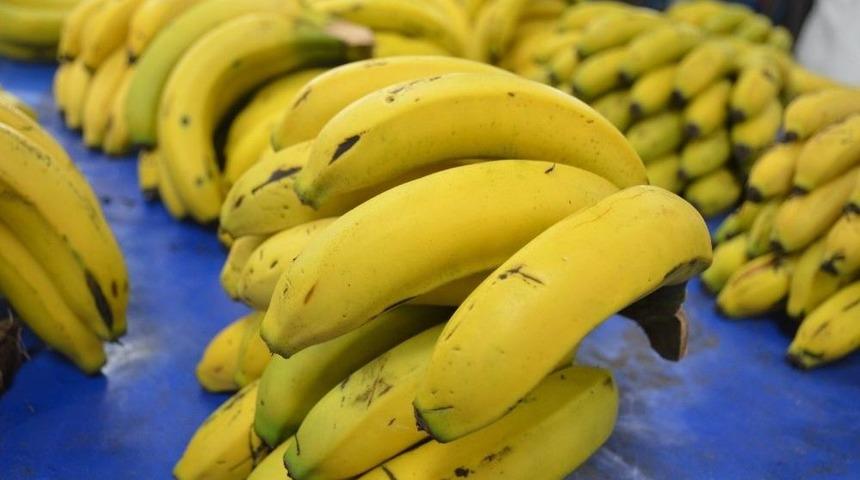 Anamur&rsquo;da 3.5, Bilecik&rsquo;te 7 Tl