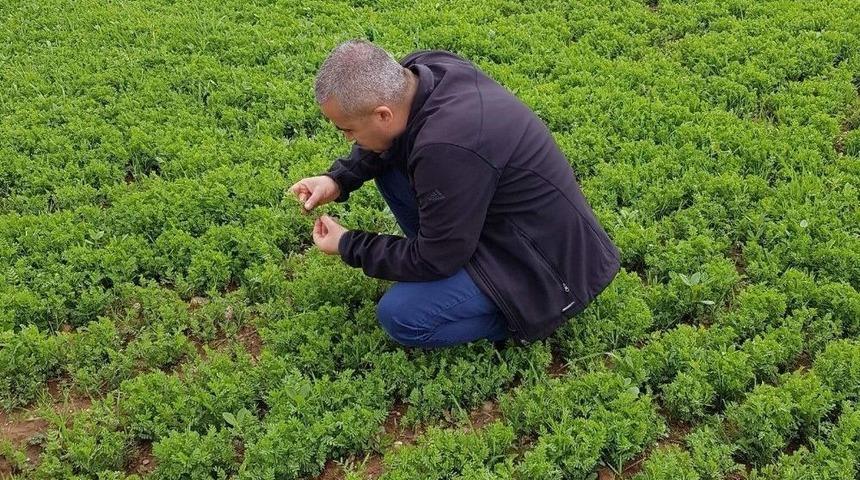 Siirt&rsquo;te Sertifikalı Tohum &Uuml;retimi Artıyor