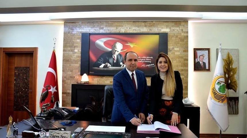 Yeşilırmak Havzası’ndaki Ormanlar Saleple Donatılacak