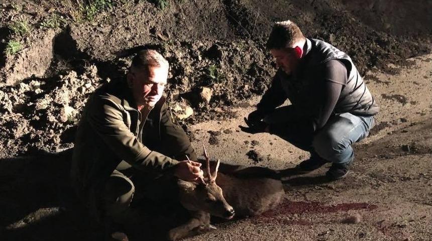 Otomobilin Çarptığı Karaca Yaralandı